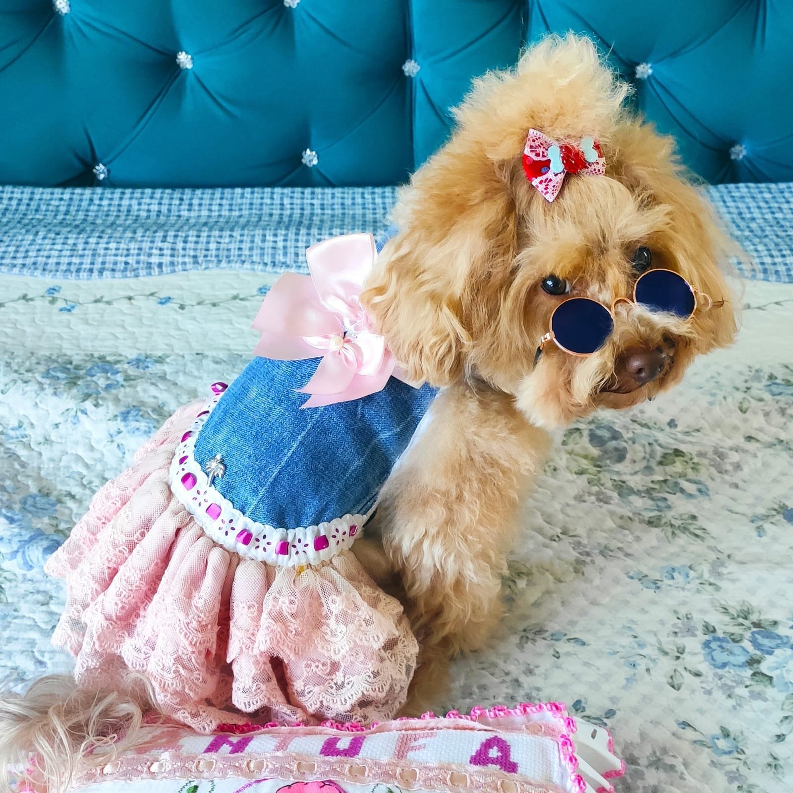 Humanização de Pets: Entre o Estilo e o Bem-Estar – A Experiência da Pantufa com Roupinhas